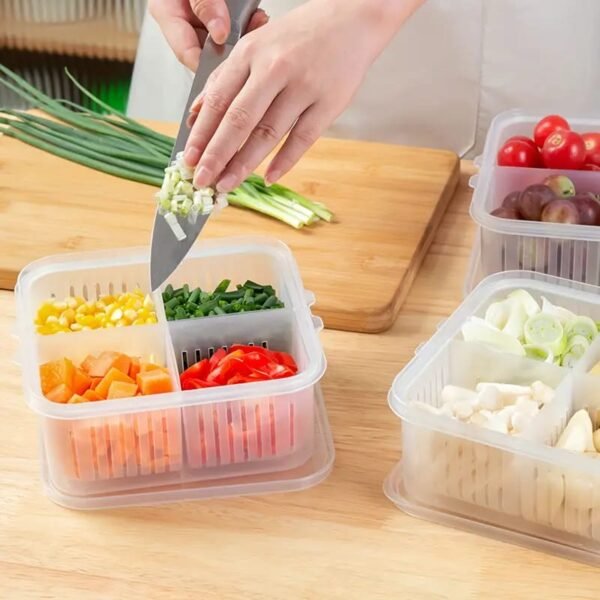4-Compartment Food Storage Container with Drainage and Flip Top Lid, Hand Wash Plastic Multipurpose Organizer,