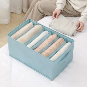 Wardrobe Foldable Storage Box-Blue
