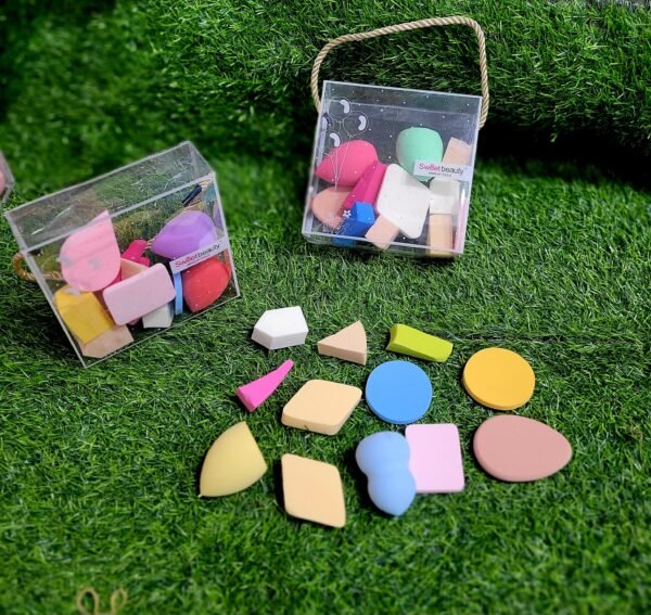 12pcs blender puff bag Rs350