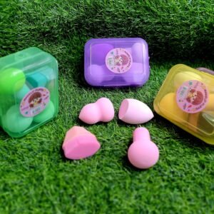 Brush + blender puff tiffin Rs350