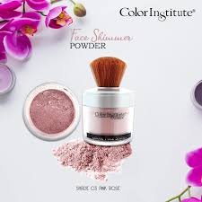Color Institute Face & Body Loose Shimmer Powder 385
