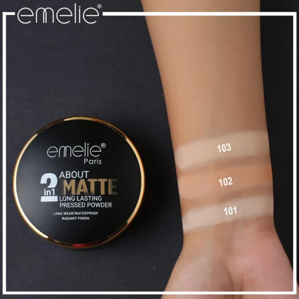 Emelie About 2 in 1 MATTE Long Lasting Pressed Powder 700