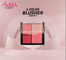 Aqua Color Line 4 Color Blusher Kit 675