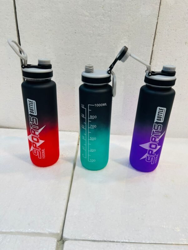 SPORTS WATER BOTTLES WITH ICE DITTOX BAG 1000 ML : - Image 2