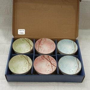 Bowl set ceramic bowl pack of 6 sal
