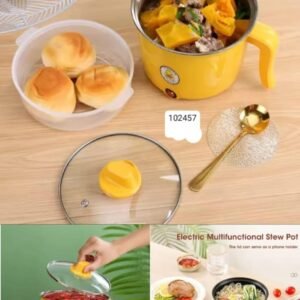 Electric multifunction stew pot sal