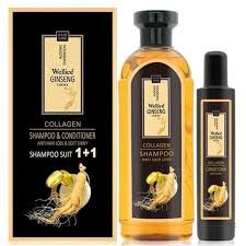 Wellice Ginseng 2in1 Shampoo Conditioner rs 1500