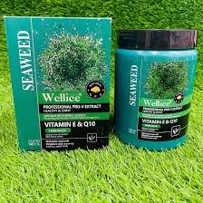 Wellice Seaweed Pro-v Extract Healthy & Shiny Vitamin-E & Q10 Hair Mask  rs 1700