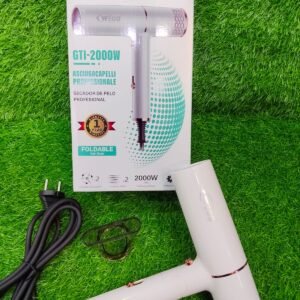 Wego Professional Hair Dryer